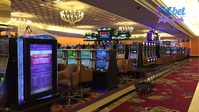 Tổng Quan Về Pkbet Live Casino