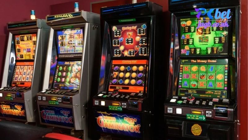 Lịch Sử và Sự Phát Triển Của Pkbet Cá Cược Trực Tuyến